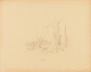 Paisagem de Solon H. Borglum