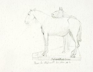 Neve de Solon H. Borglum