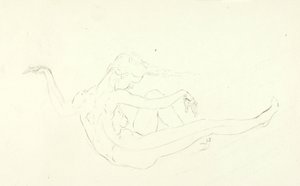 Nadar nu de Solon H. Borglum