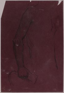 Torso, estudo para Monumento Equestre