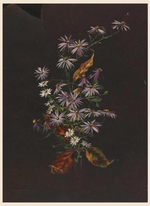 Bouquet de Outono, ca. 1890