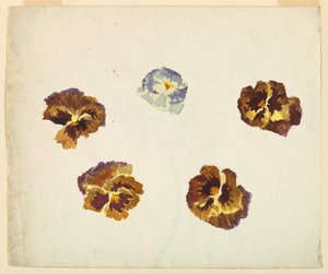 Reto de Sophia L. Crownfield