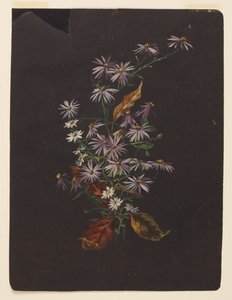 Estudo de um buquê de outono de Sophia L. Crownfield