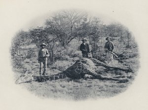 Big Game Hunting in the Transvaal (foto a p/b) de South African Photographer
