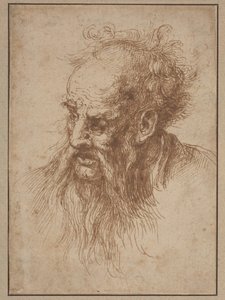Um homem idoso com uma barba esvoaçante de Spanish 17th Century