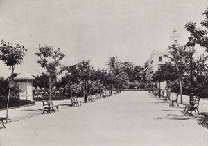 Cadiz: Alameda de Apodaca (b/w photo)