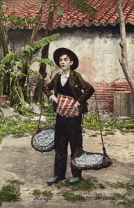 Vendedor de peixe, Málaga, Espanha (fotografia a cores) de Spanish Photographer
