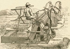 Uma máquina de colheita, puxada por cavalos, que amarrava mecanicamente os feixes de milho, utilizada no final do século XIX. De El Museo Popular publicado Madrid de Spanish School
