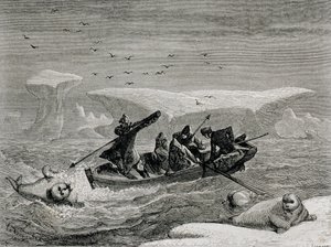 Morsa de caça com arpões nas ilhas Spitsbergen, arquipélago de Svalbard, ilustração de &39;The Return to the World&39;, 1865 de Spanish School