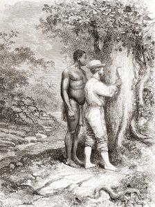 Jules Crevaux, durante sua exploração da Guiana Francesa em 1878, esculpindo suas iniciais em uma árvore às margens do Oiapoque ou Rio Oiapoque de Spanish School