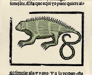 Representação de uma iguana. Gravura do livro "Historia general de las Indias, islas y tierra firme del mar oceano" de Gonzalo Fernandez de Oviedo (Gonzalo) ou Fernandez de, ou Hernandez de Oviedo y Valdes (1478-1557) de Spanish School