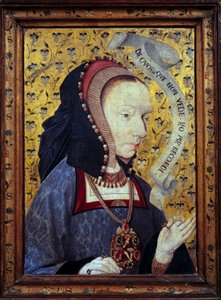 Senhora do pensamento. As palavras dele estão escritas numa faixa de cabeça: "De Quilque Non Vede". Yo My Recorde" (Daqueles que eu nunca vi, eu me lembro). Pense na memória e no reconhecimento. Pintura em madeira da escola espanhola. Sol do fim do século  de Spanish School