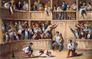 Valla de Gallos, Cuba (litografia a cores) de Spanish School