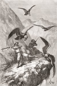 Édouard François André e companheiro sendo atacado por condores perto de Calacali, província de Pichincha, Equador, durante sua expedição de botanização no sopé dos Andes em 1875-76 de Spanish School