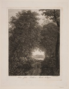 Estrada da floresta de Søren Henrik Petersen