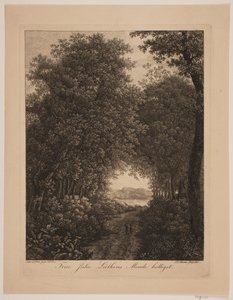 Estrada da floresta de Søren Henrik Petersen