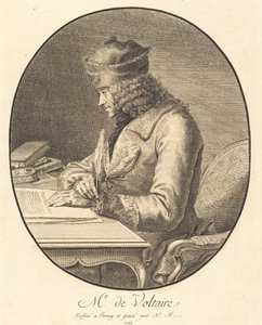 Senhor de Voltaire de Stanislas Jean de Boufflers