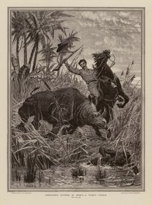 Caça ao rinoceronte em África (gravura) de Stanley (after) Berkeley