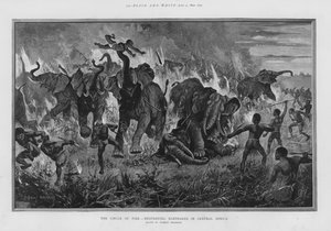 O círculo de fogo - destruindo elefantes na África Central (litho) de Stanley (after) Berkeley