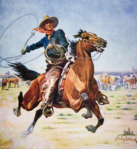 Cowboy do Texas (cor litho)