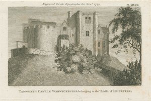 Castelo de Tamworth: gravura, nd [c 1799] (impressão) de Stebbing Shaw