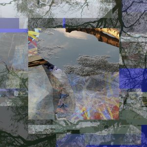 Reflexão numa árvore fragmentada