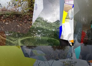 Natureza urbana fragmentada