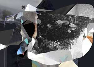 Nenúfares fragmentados