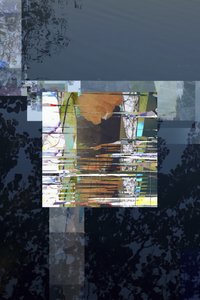 Resumo de "Glitch Nature" de Stefan Fransson