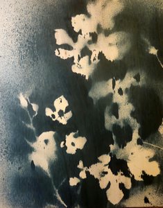 Folhas botânicas escuras de Stefano Mazzolini
