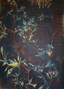 Flora de jardim à meia-noite de Stefano Mazzolini