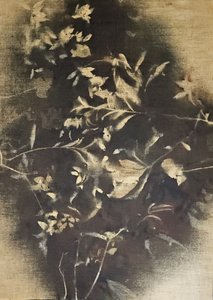 Sombras florais melancólicas
