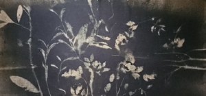 Floração no jardim de sombras