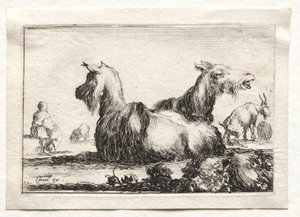 Caprichos: Duas cabras. de Stefano della Bella