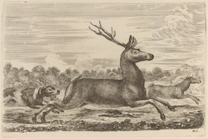 Cervo perseguido por dois cães à esquerda de Stefano della Bella