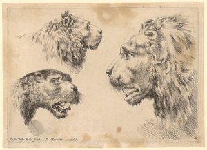  de Stefano della Bella