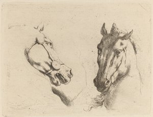Cabeça de cavalo vista de perfil e em três quartos. de Stefano della Bella