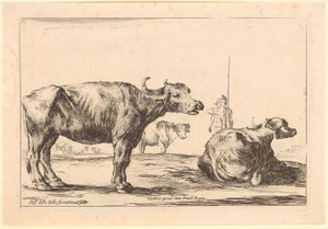 Vacas, prancha 8 da série «Figuras diversas» de Stefano della Bella