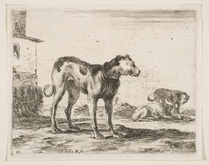 Ilustração 11: cães de vários animais Diversi animali, ca. 1641 de Stefano della Bella