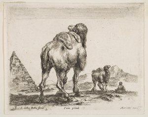 Ilustração 18: camelo visto de trás com pirâmide à esquerda, de Various animals Diver ..., ca. 1641 de Stefano della Bella