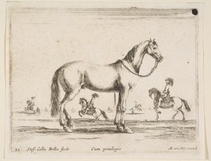 Ilustração 21: cavalo, de Various animals Diversi animali, 1641. de Stefano della Bella