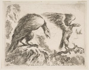 Ilustração 2: águia e aguia, de Various animals Diversi animali, ca. 1641 de Stefano della Bella
