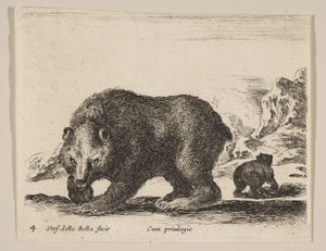 Placa 4: urso, de "Vários animais" Diversi animali, ca. 1641. de Stefano della Bella
