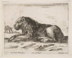 Ilustração 5: leão reclinado, de Various animals Diversi animali, 1641. de Stefano della Bella