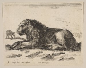 Ilustração 5: leão reclinado, de Various animals Diversi animali, ca. 1641 de Stefano della Bella