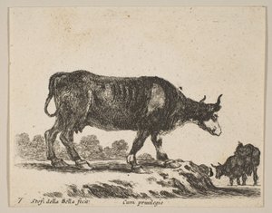 Ilustração 7: vaca, de vários animais Diversi animali, ca. 1641 de Stefano della Bella