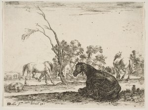Ilustração 8: um cavalo sentado à direita, visto por trás e virado para a esquerda, três outras hor ..., 1642.