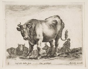 Ilustração 8: vaca, de vários animais Diversi animali, ca. 1641 de Stefano della Bella