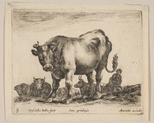 Placa 8: boi, de "Vários animais" Diversi animali, ca. 1641. de Stefano della Bella