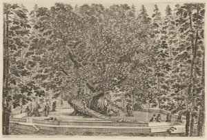 A Árvore Habitada, provavelmente 1653. de Stefano della Bella